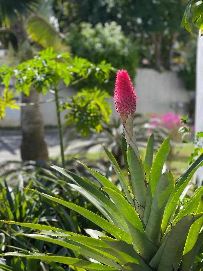 Casa de Férias Buzios House Vila